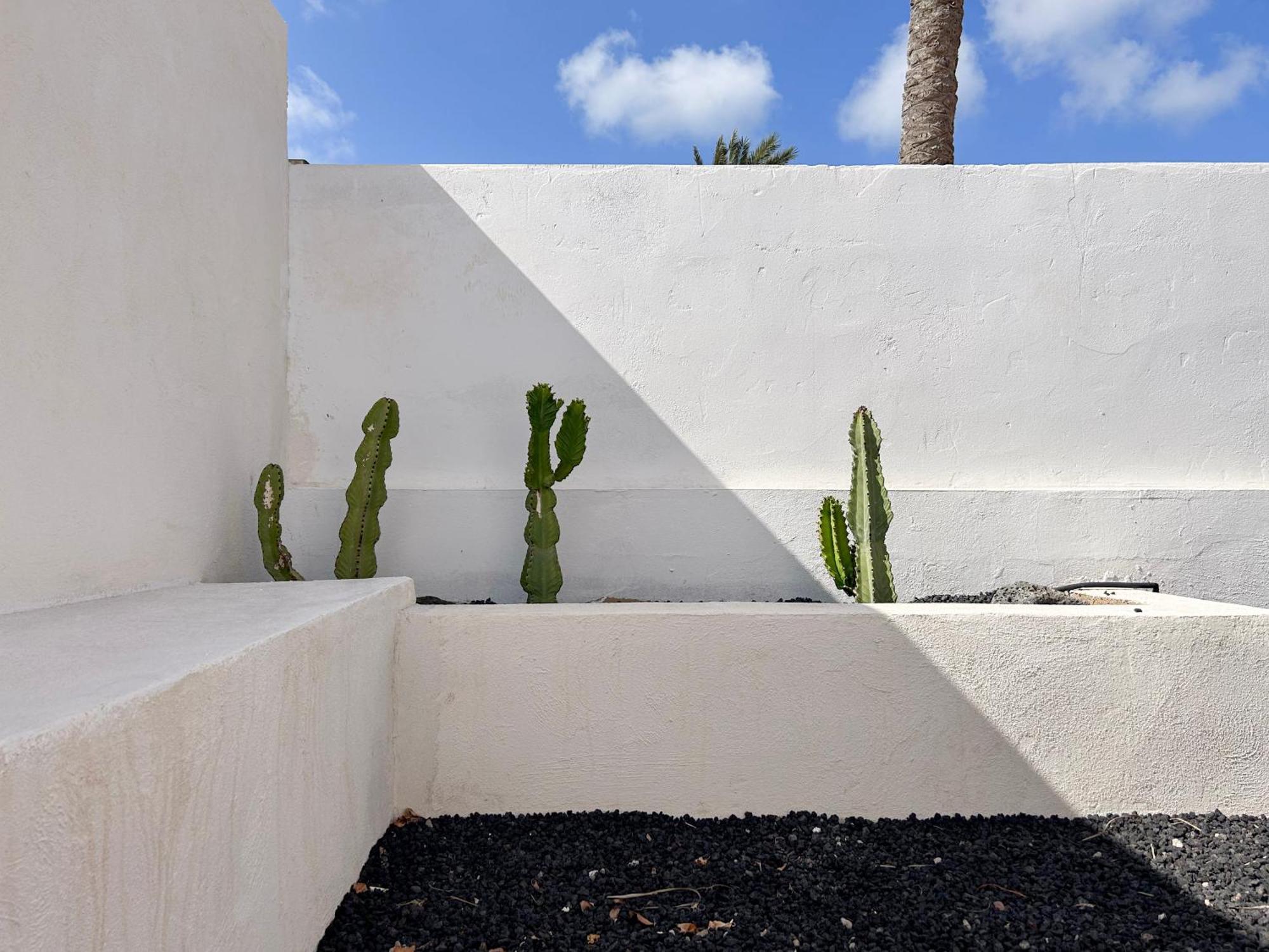 House Boho Palm With Private Heated Pool And Garden, 3 Bedrooms, Wi-Fi Corralejo Bagian luar foto